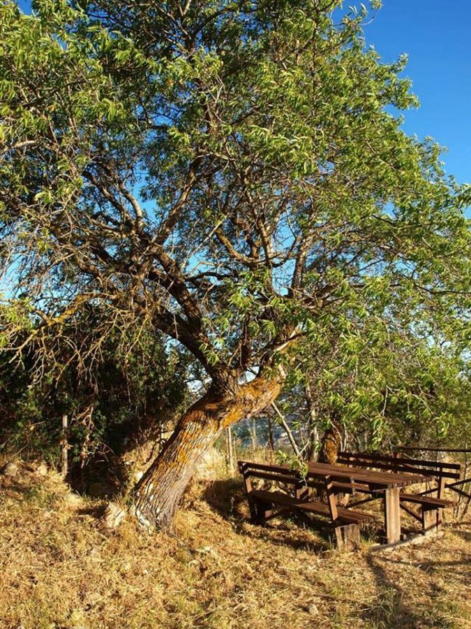 Agriturismo Gelso Castellana Sicula Ngoại thất bức ảnh